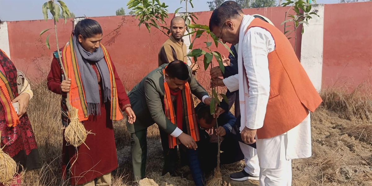 मधेशमा मनाइयो प्रदेश नामकरण दिवस