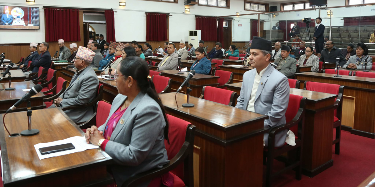 राष्ट्रियसभामा तीन अध्यादेश पेस