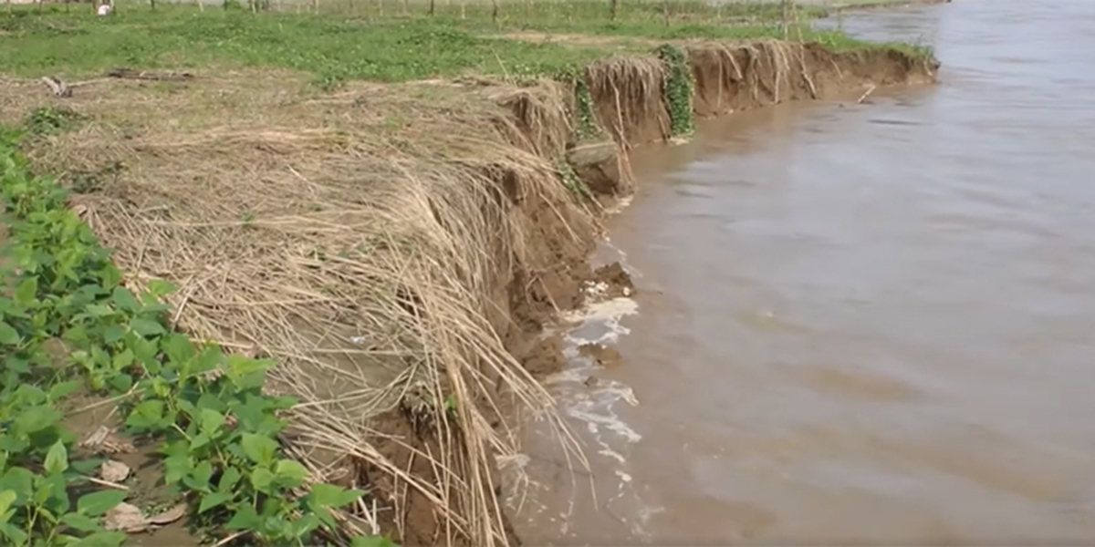 बाढीबाट प्रभावित हुँदै आएको अब कुतियाकवर सुरक्षित