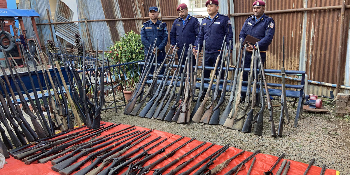 बागलुङमा ११५ थान भरुवा बन्दुक बरामद