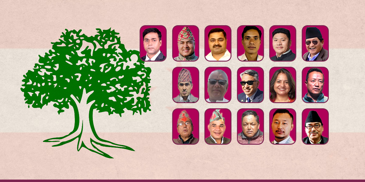 कांग्रेस १६ स्थानमा निर्वाचित : कर्णालीमा सबैभन्दा बढी चार, अन्य प्रदेशमा कति सिट?