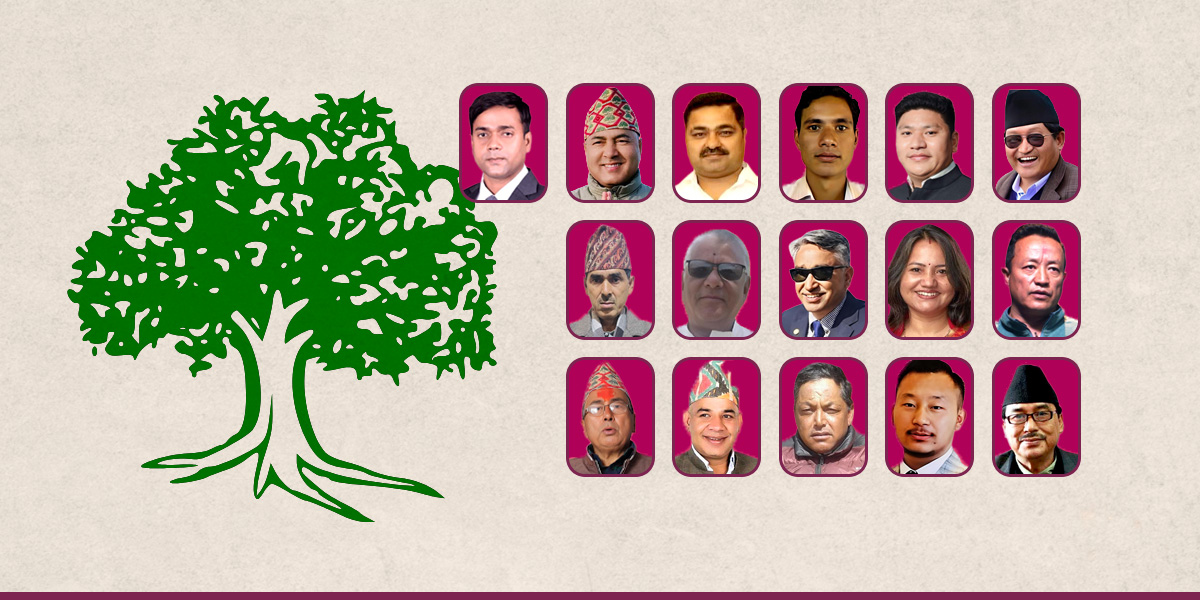 कांग्रेस १६ स्थानमा निर्वाचित : कर्णालीमा सबैभन्दा बढी चार, अन्य प्रदेशमा कति सिट?