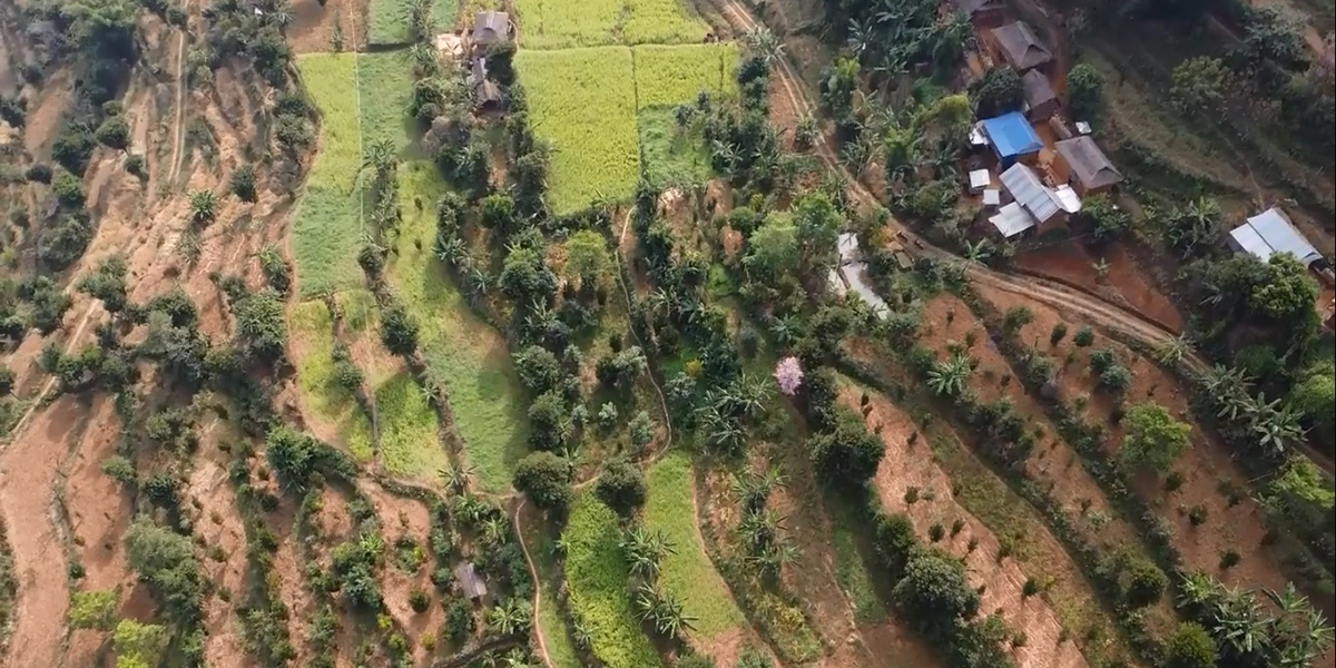 व्यावसायिक फलफूलखेतीतर्फ भोजपुर भुल्केका किसानको आकर्षण