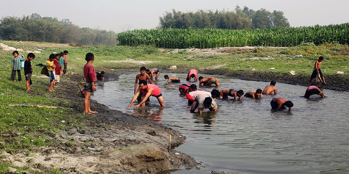घोँगी खोज्दै