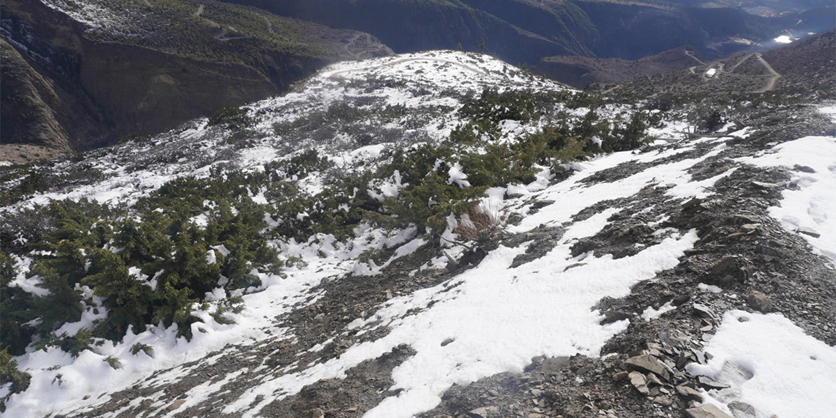 एकै सिजनमा छ पटक पर्‍यो मुस्ताङमा हिउँ, किसानलाई राहत