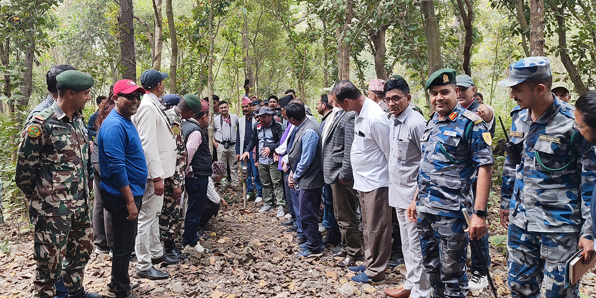 यसरी हुँदैछ बाघ गणना