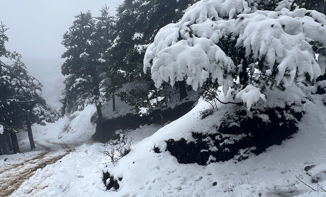 सन्दकपुरमा परेको हिउँ