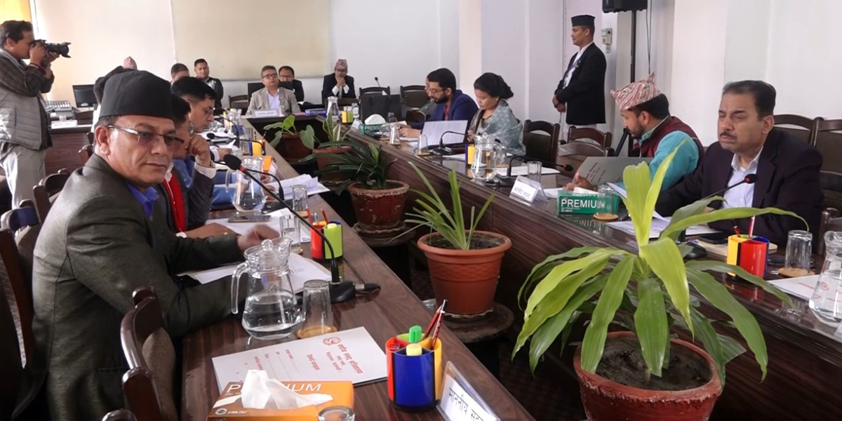 निजी क्षेत्रको मनोबल उच्च बनाउन सांसदहरूको सुझाव