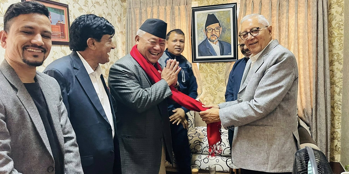 दलको नेता बनेपछि भीष्मराजले भेटे पूर्णबहादुर र शेखर