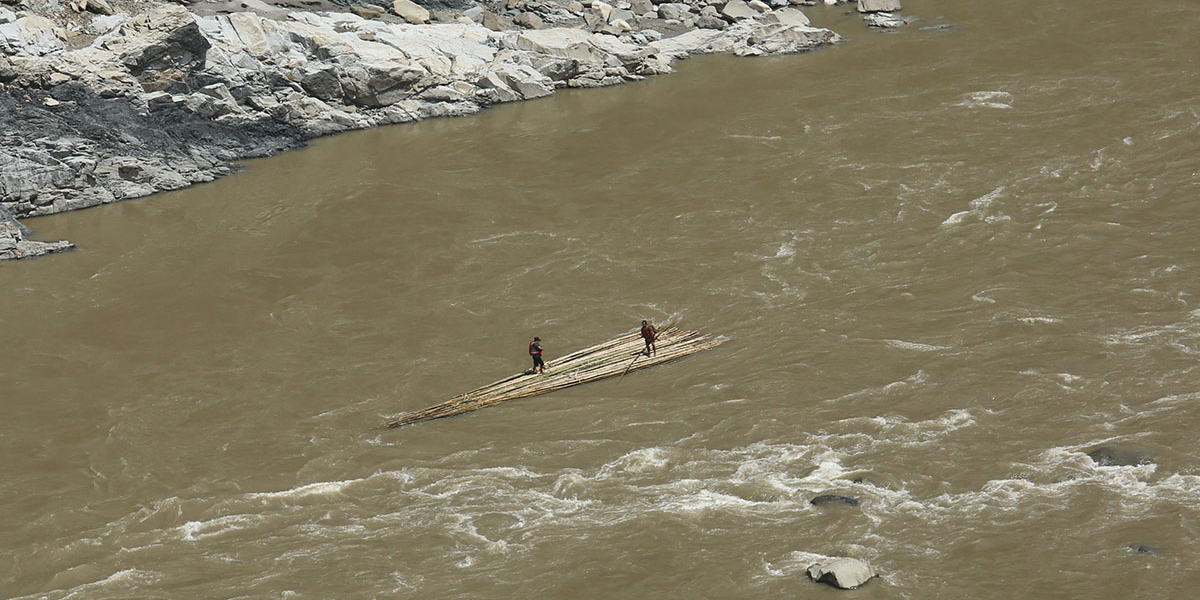 कोशीसँग पानीमा बाग्छन् बाँसका चेफा