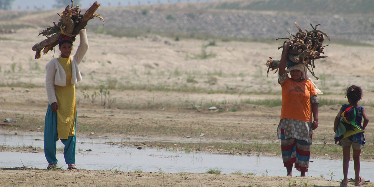 दाउराको जोहो