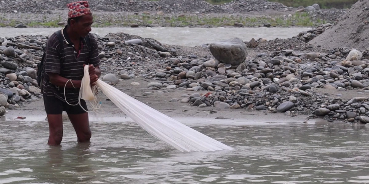 इन्द्रावतीमा माछा पाइन छाडेपछि पुर्ख्यौली पेसा संकटमा