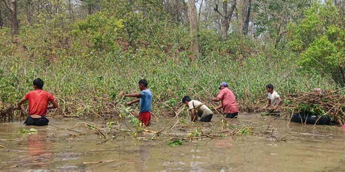‘बेसरम’ले निल्दैछ घोडाघोडी ताल