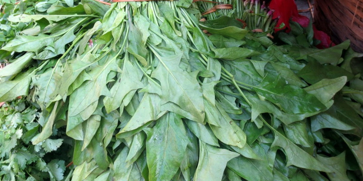 हरियो तरकारीको मूल्यमा उतारचढाव, पालुङ्गो महँगो