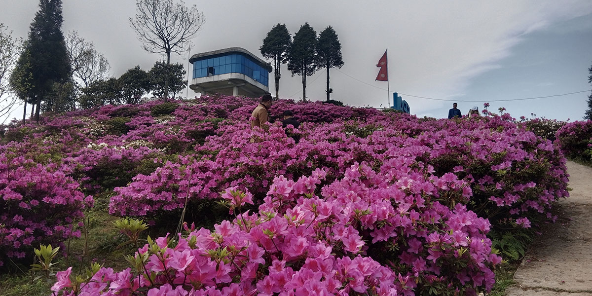 इलाममा ढकमक्क गुफापाताल