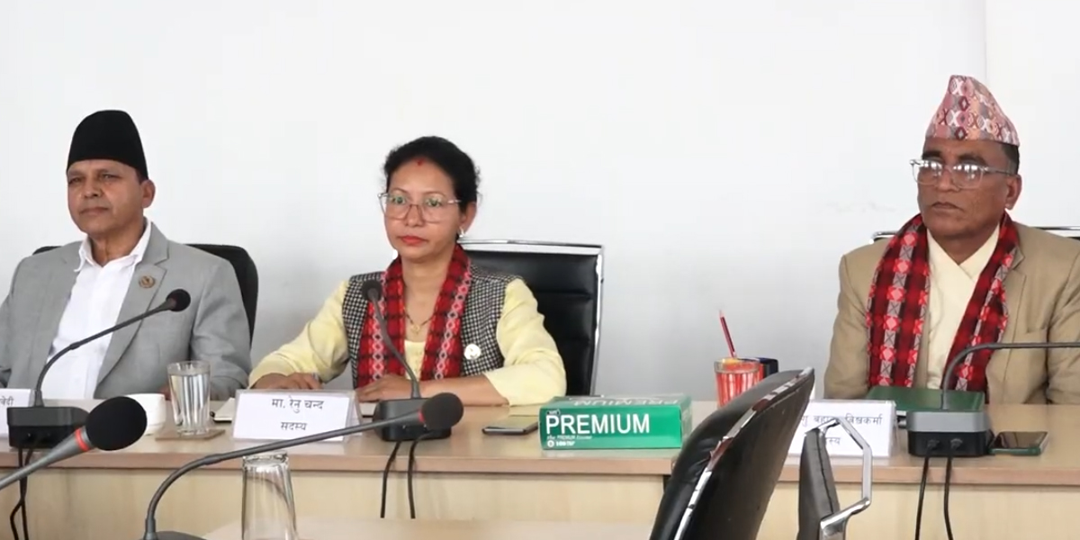 राष्ट्रियसभाका चार विषयगत समितिमा सभापति चयन