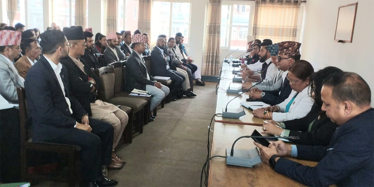 रास्वपाले टुंग्यायो १२ संसदीय समिति सभापति, शिक्षामा डा.ओजस्वी शेरचन