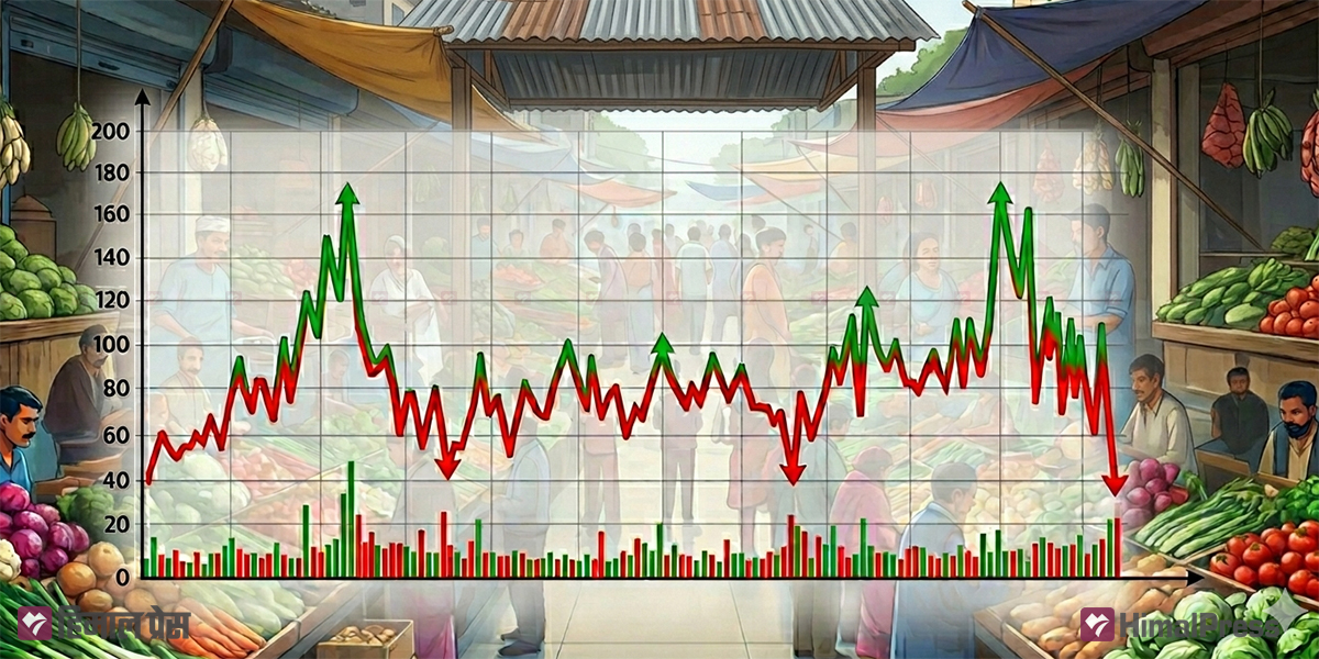 पछिल्ला तीन दिनमा काउली र च्याउ महँगिँदा केही तरकारी सस्तिए