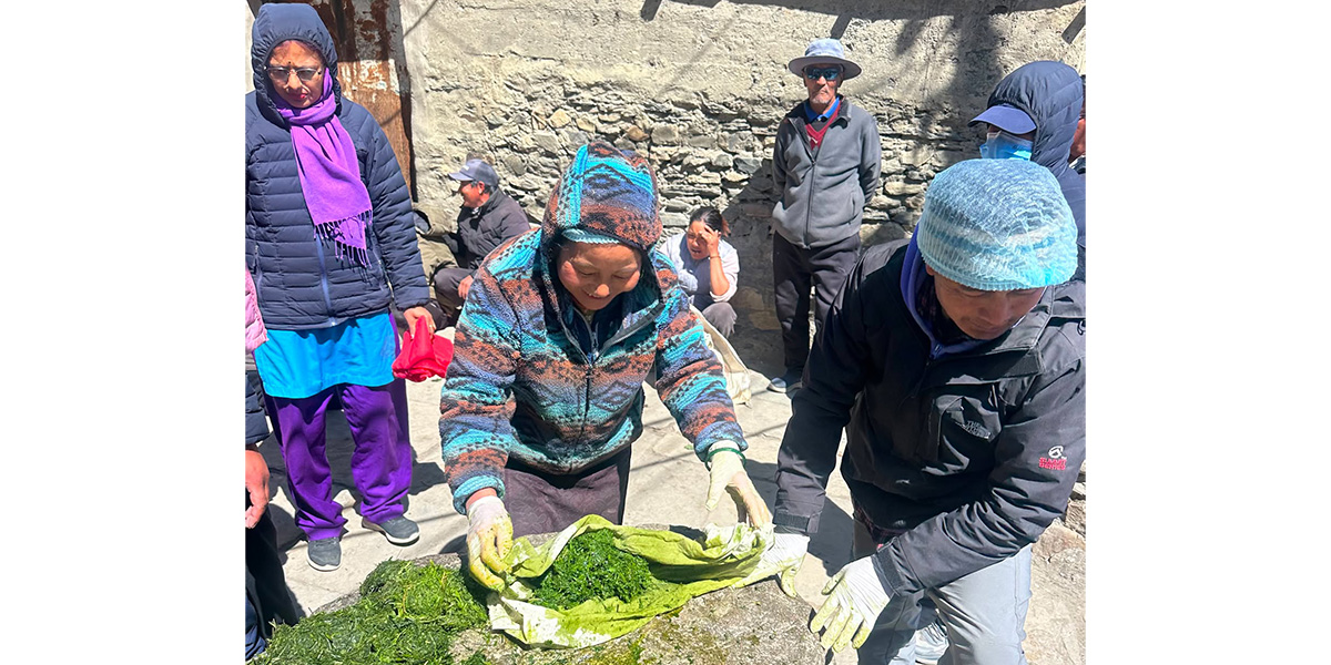 विषादीको विकल्पमा ‘जैविक झोल’