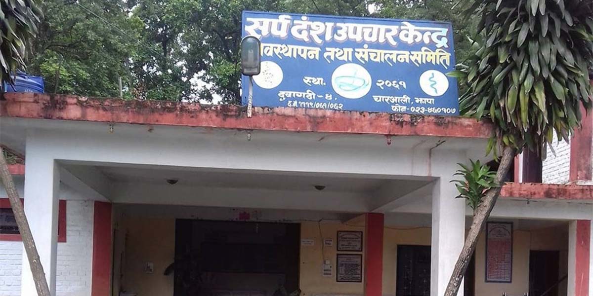 सर्पले टोकेका बिरामीको ज्यान बचाउँदै चारआली सर्पदंश उपचार केन्द्र