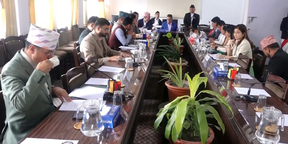 बजेटका सन्दर्भमा अर्थ समितिले विज्ञहरुसँग छलफल गर्ने