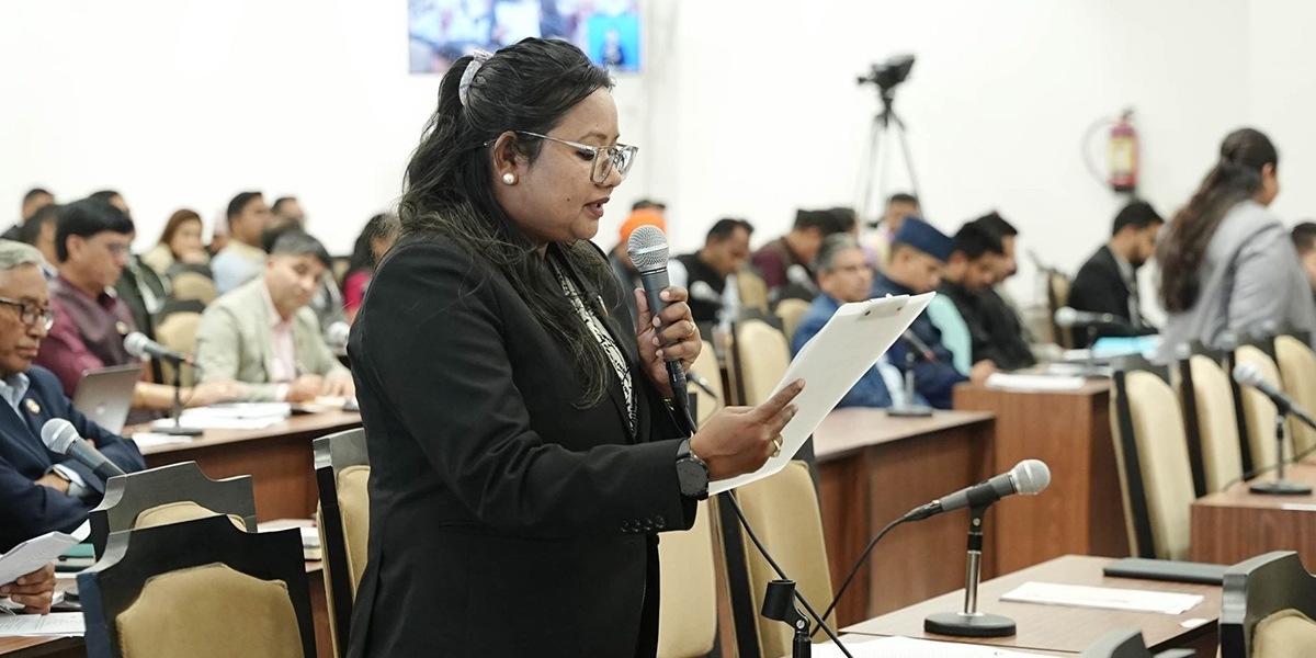 लोकतन्त्र अन्ध समर्थनको व्यवस्था होइन, नागरिक ताली बजाउने भीड मात्रै होइन : नीता घतानी