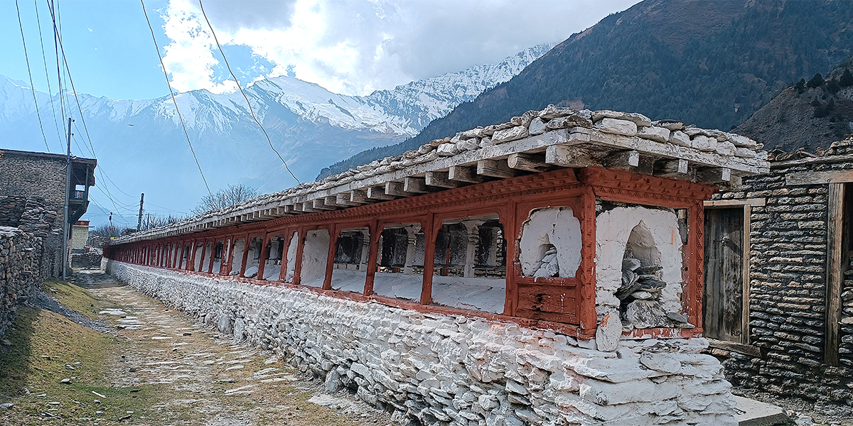संरक्षणको पर्खाइ