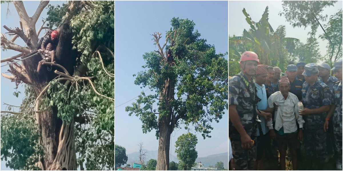 ७३ वर्षीय वृद्ध रूखमा अड्किएपछि..‍.