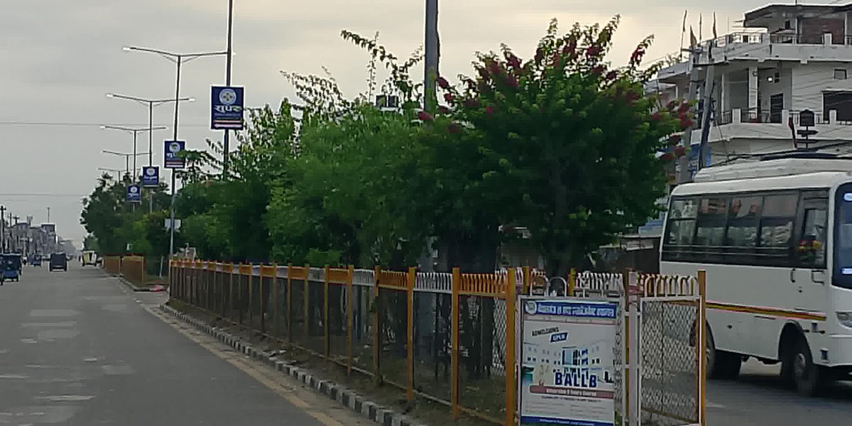 हरियालीले चम्किँदै नेपालगन्ज, बदलिँदै सहरको स्वरूप