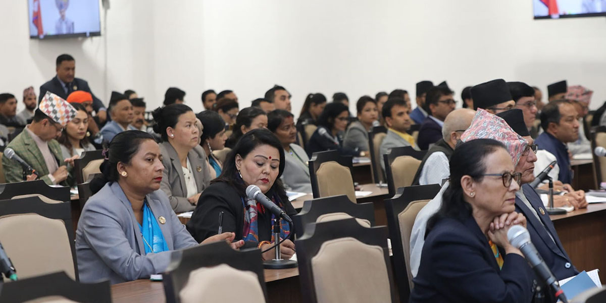 बजेटका सिद्धान्त राम्रो, कार्यान्वयनमा कमजोरी नहोस् : सांसदहरू