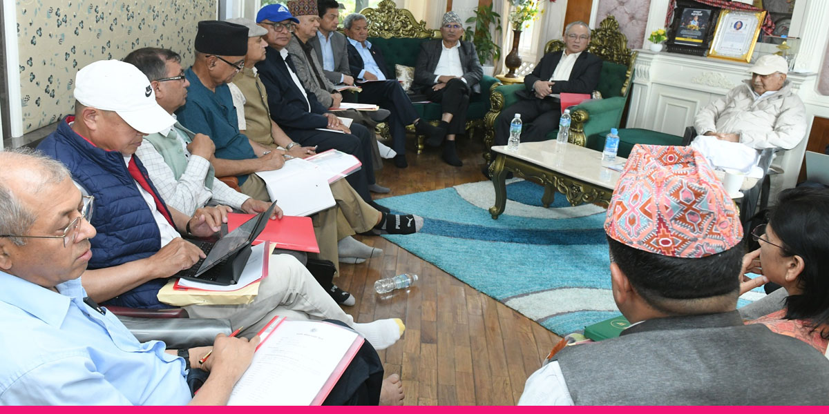 नेताहरूको कार्यविभाजनलाई अन्तिम रूप दिँदै एमाले