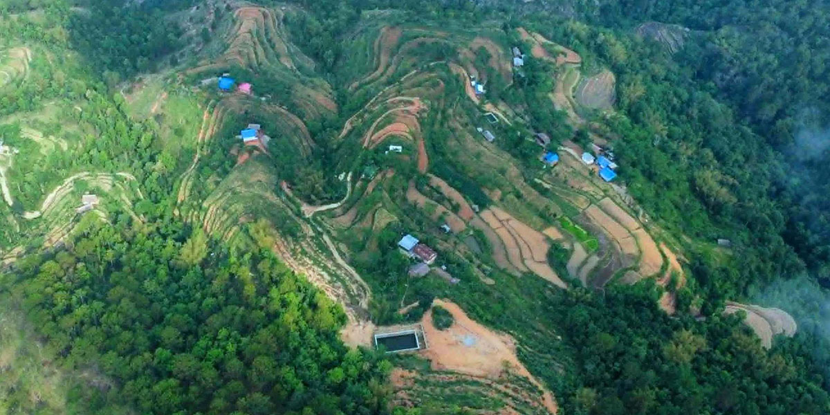 पोखरी निर्माणपछि भोजपुर सिक्रेटारको १५ सय रोपनीमा सिँचाइ