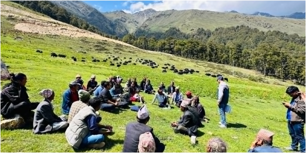 पुनर्जीवन पाउँदै बलांगा चौँरी फार्म