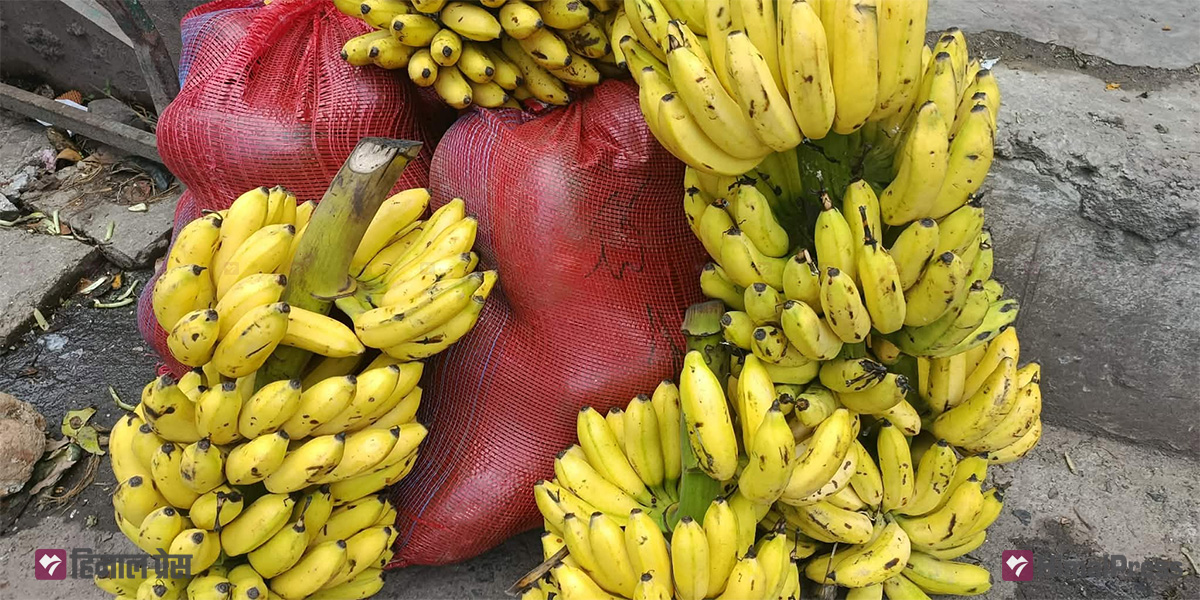 फलफूलको थोक मूल्य सार्वजनिक