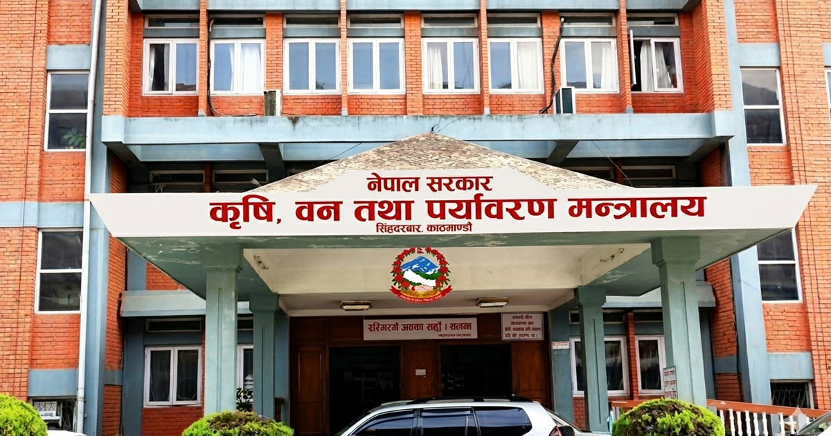 बाली लगाउनुअघि नै समर्थन मूल्य तोक्ने व्यवस्था लागू