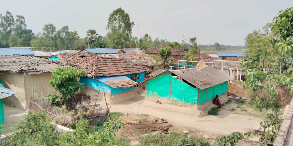 दसकअघि नै खुला दिसामुक्त,  मुसहर बस्तीमा अझै छैनन् सौचालय