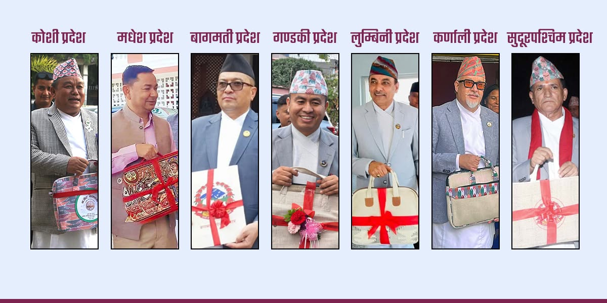 बजेट : कुन प्रदेशको प्राथमिकता के के मा? 