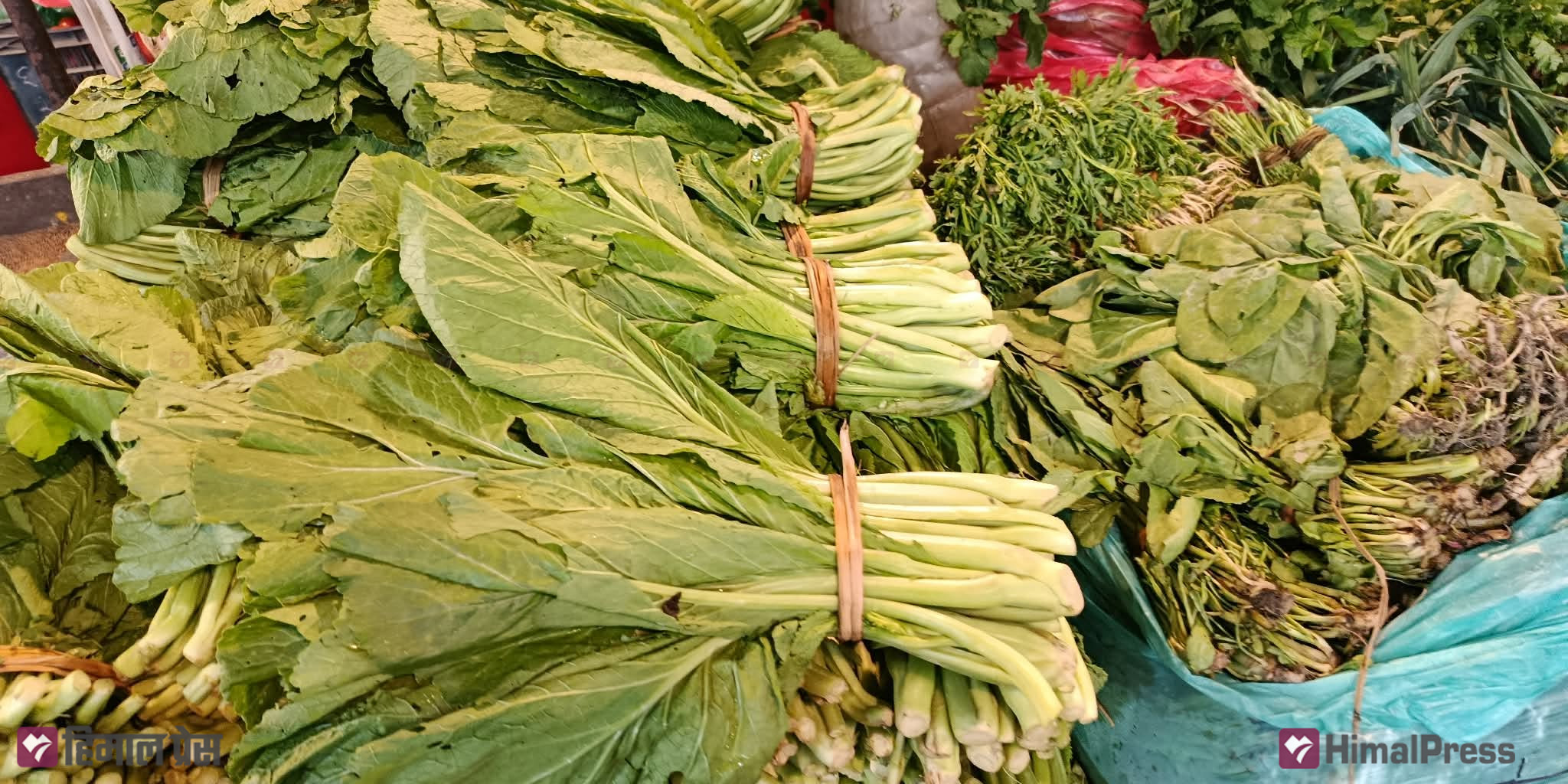 हरियो तरकारी र सागसब्जीमा फरकफरक मूल्य निर्धारण