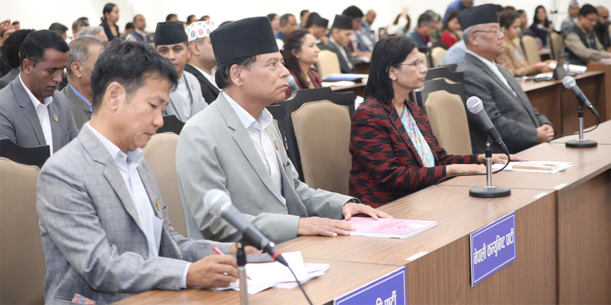 प्रतिनिधिसभा : चिया निर्यातदेखि सीमा समस्यालगायतका विषय उठान