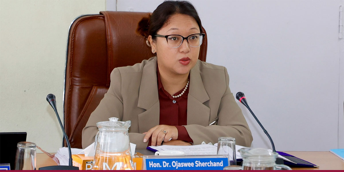 कानुन निर्माणमा हतार होइन, गहिरो अध्ययन र व्यापक छलफल आवश्यक : सभापति शेरचन