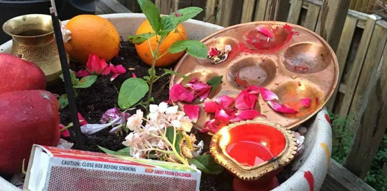 हरिशयनी एकादशी : नारायण मन्दिरमा बिहानैदेखि भक्तजनको घुइँचो