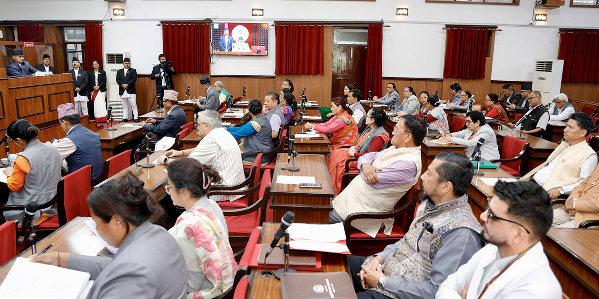 सांसदहरूले उठाए हात्ती आक्रमण, विद्युत्, शिक्षा र सुकुम्बासीका मुद्दा