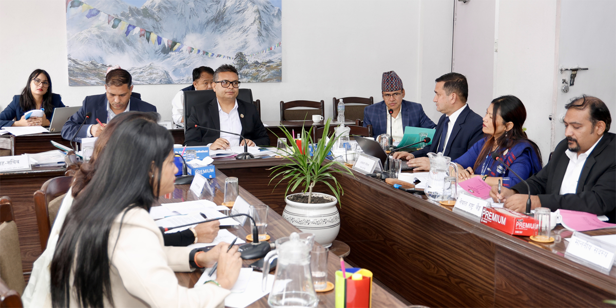 राष्ट्र बैंक ऐन संशोधन विधेयकको ८ वटा दफामा जुट्यो सहमति