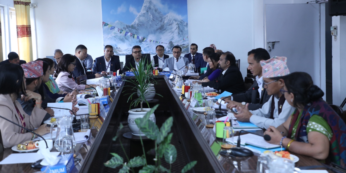 राष्ट्र बैंक सञ्चालक समिति सात सदस्यीय नै