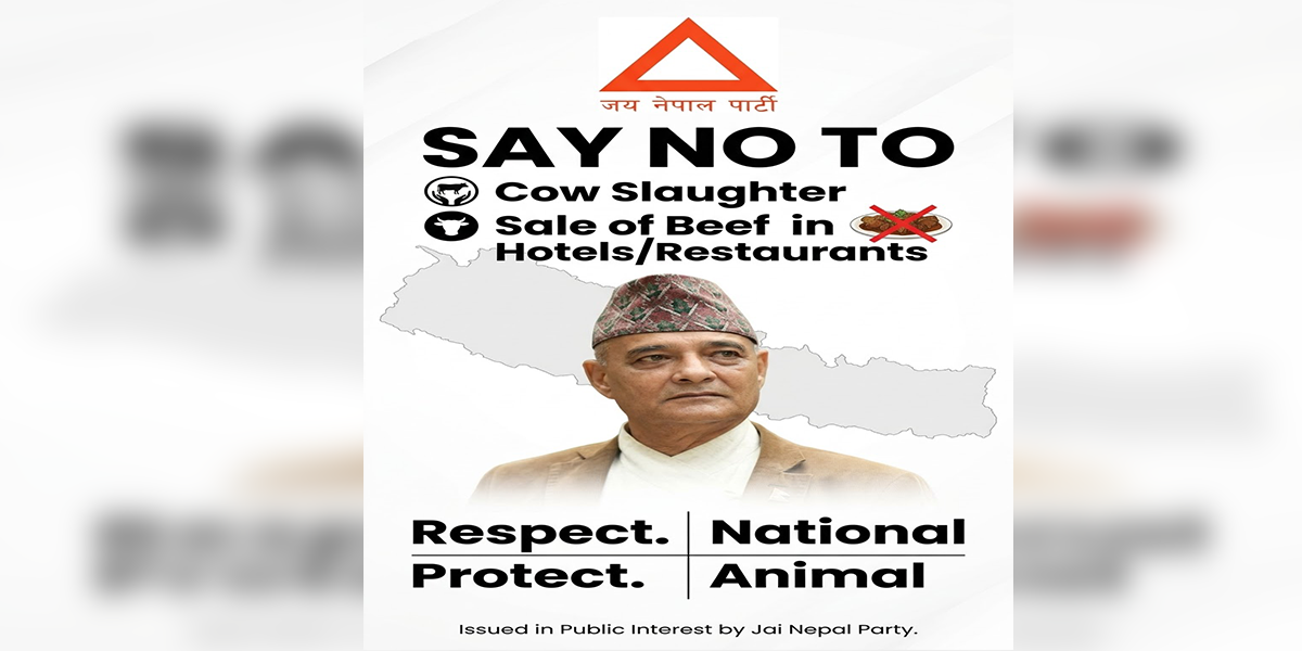 गौहत्या र गाईको मासु बिक्रीविरुद्ध ‘जय नेपाल पार्टी’ले थाल्यो अभियान
