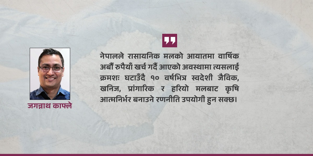 रासायनिक मलको परनिर्भरता तोड्ने १० वर्षे कृषि रणनीति