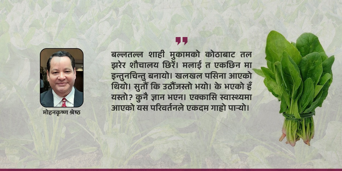 पालुंगो, एलर्जी र कूटनीतिक जीवनका सम्झना