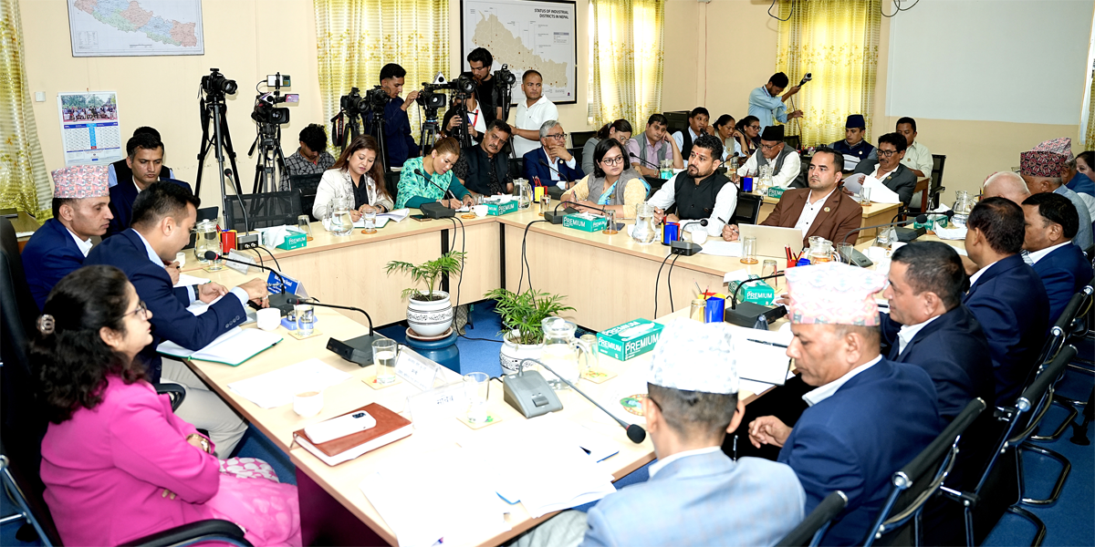 ग्यासको समस्या समाधान गर्न सरकारलाई निर्देशन