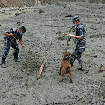 कमाण्डरसहित सहकर्मी गुमाउँदा पनि टिमुरेमा खटिइरह्यो सशस्त्र प्रहरी