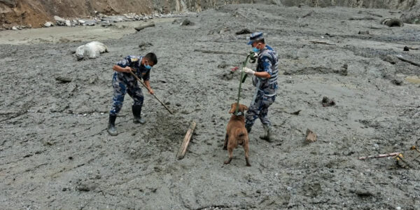 कमाण्डरसहित सहकर्मी गुमाउँदा पनि टिमुरेमा खटिइरह्यो सशस्त्र प्रहरी
